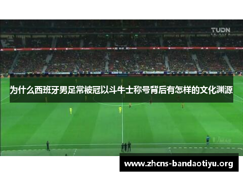 为什么西班牙男足常被冠以斗牛士称号背后有怎样的文化渊源