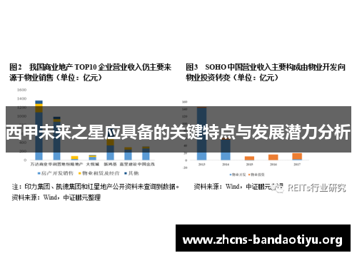 西甲未来之星应具备的关键特点与发展潜力分析