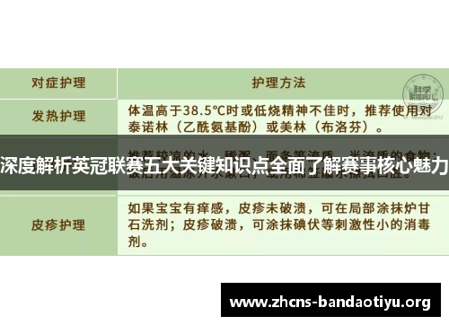 深度解析英冠联赛五大关键知识点全面了解赛事核心魅力 深度解析英冠联赛五大关键知识点全面了解赛事核心魅力