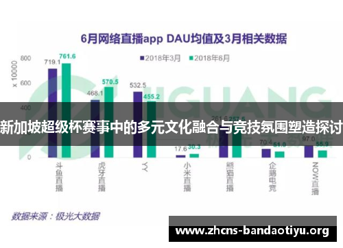 新加坡超级杯赛事中的多元文化融合与竞技氛围塑造探讨